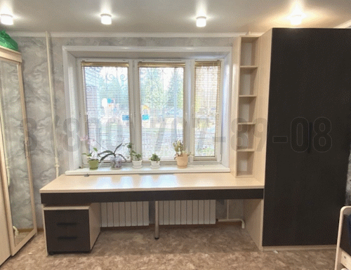 Рабочая зона модель r106 купить в Дзержинском